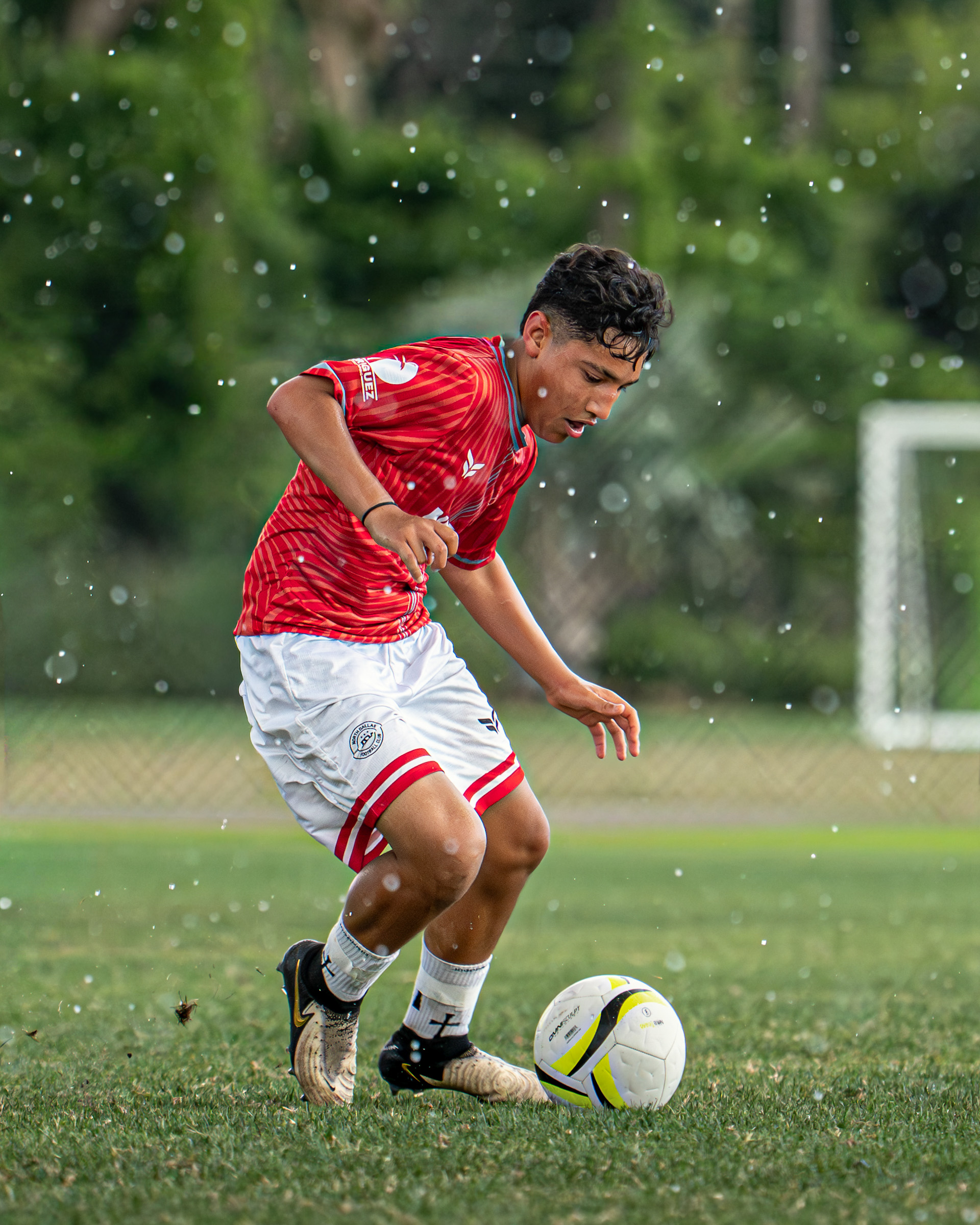 State Cup
